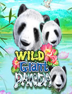 วิธีเล่นและทาง เข้า xo slot คา สิ โน แจก เครดิต ฟรี